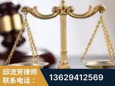 嘉峪关-委托诉讼代理人出庭